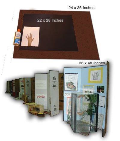 poster board sizes