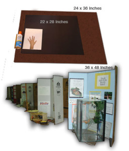 poster board size